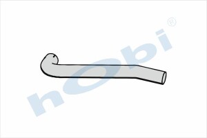 Boru, Egzoz Ön, E2, 1402596 Daf LF55 Ø88,9 Alusi, - Hobi