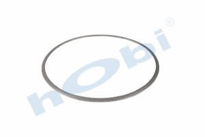 Conta, DPF, 1927181 Daf CF ID:Ø365 OD:Ø387 T:5,500 mm Grafit, Yuvarlak, - 1