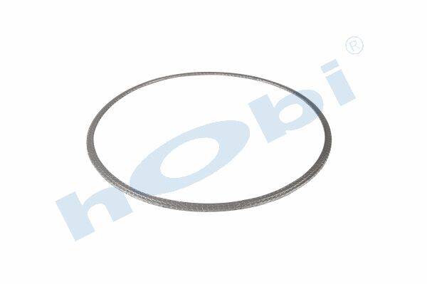 Conta, DPF, 1927181 Daf CF ID:Ø365 OD:Ø387 T:5,500 mm Grafit, Yuvarlak, - 1