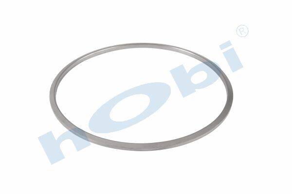 Conta, DPF, 1927181 Daf ID:Ø360 OD:Ø383 T:12,50 mm Grafit, Yuvarlak, - 1