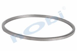 Conta, DPF, 2096951 Scania ID:Ø322 OD:Ø344 T:14,500 mm Grafit, Yuvarlak, - 1