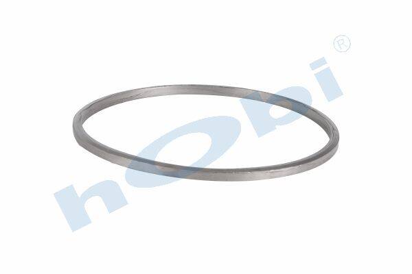 Conta, DPF, 2096951 Scania ID:Ø322 OD:Ø344 T:14,500 mm Grafit, Yuvarlak, - 2