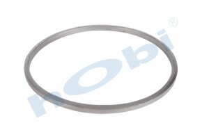 Conta, DPF, 2096951 Scania ID:Ø322 OD:Ø344 T:14,500 mm Grafit, Yuvarlak, - 3