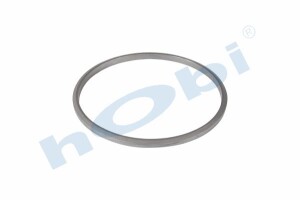 Conta, DPF, 2137231 Scania ID:Ø285 OD:Ø305 T:14,500 mm Grafit, Yuvarlak, - 2