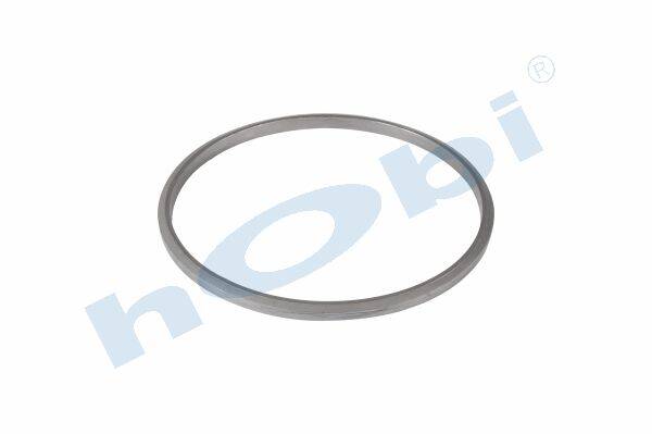 Conta, DPF, 2137231 Scania ID:Ø285 OD:Ø305 T:14,500 mm Grafit, Yuvarlak, - 2
