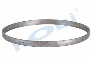 Conta, DPF, 2168586 Scania ID:Ø312 OD:Ø323 T:20,500 mm Grafit, Yuvarlak, - 1