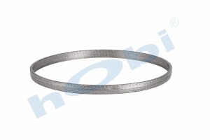 Conta, DPF, 2168586 Scania ID:Ø312 OD:Ø323 T:20,500 mm Grafit, Yuvarlak, - 2
