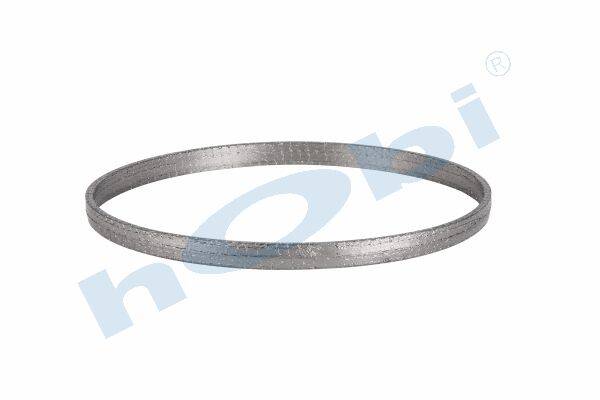 Conta, DPF, 2168586 Scania ID:Ø312 OD:Ø323 T:20,500 mm Grafit, Yuvarlak, - 2