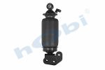 Amortisör, Kabin Havalı, 5010615879 Renault