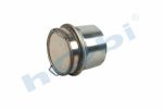 Dpf Unit, E6, 21750157 Volvo Ø281 H:267,5 Mnş:2 Seramik, - Görsel 3