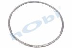 Conta, DPF, 1997442 Daf ID:Ø210 OD:Ø223 T:4,500 mm Grafit, Yuvarlak,
