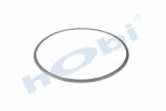 Conta, DPF, 1927181 Daf CF ID:Ø365 OD:Ø387 T:5,500 mm Grafit, Yuvarlak,