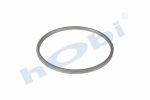 Conta, DPF, 2137231 Scania ID:Ø285 OD:Ø305 T:14,500 mm Grafit, Yuvarlak, - Görsel 2
