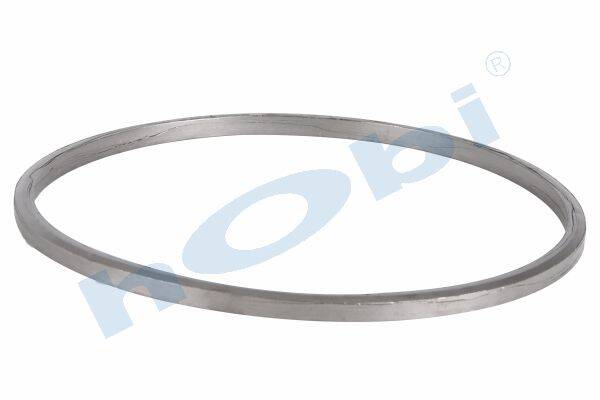 8024 Conta, DPF, 2096951 Scania ID:Ø322 OD:Ø344 T:14,500 mm Grafit, Yuvarlak, - Görsel 1