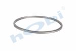 Conta, DPF, 2096951 Scania ID:Ø322 OD:Ø344 T:14,500 mm Grafit, Yuvarlak, - Görsel 2