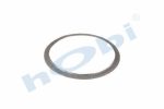 Conta, DPF, 81159010044 Man ID:Ø193 OD:Ø219 T:2,500 mm Grafit, Yuvarlak,