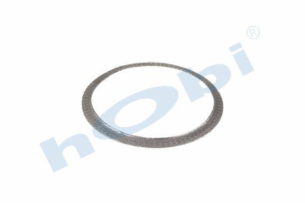 8031 Conta, DPF, 81159010044 Man ID:Ø193 OD:Ø219 T:2,500 mm Grafit, Yuvarlak, - Görsel 1