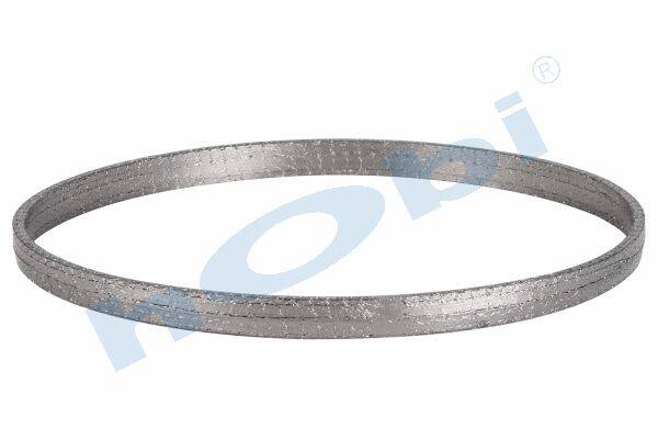 8039 Conta, DPF, 2168586 Scania ID:Ø312 OD:Ø323 T:20,500 mm Grafit, Yuvarlak, - Görsel 1
