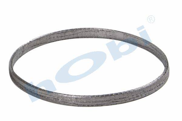 8051 Conta, DPF, 2137602 Scania ID:Ø284 OD:Ø290 T:6,500 mm Grafit, Yuvarlak, - Görsel 1
